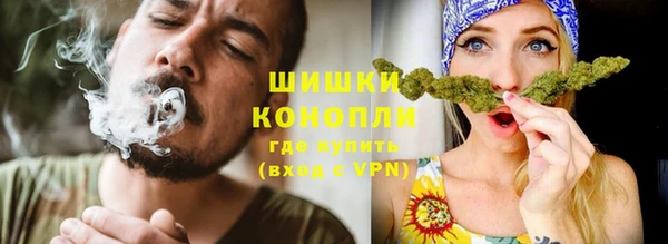 шишки Ачинск