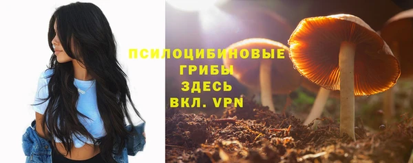 дживик Майский
