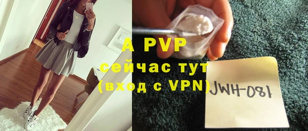 apvp Магас