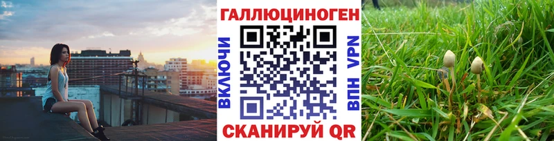 kraken   Десногорск  Галлюциногенные грибы Magic Shrooms 