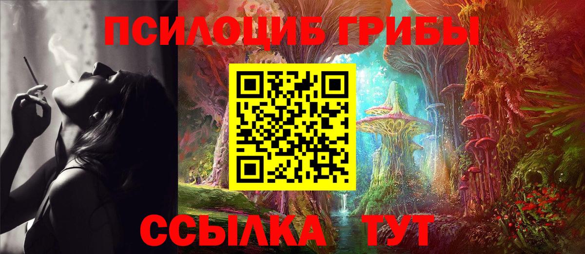 Десногорск  Псилоцибиновые грибы Psilocybe  Вход с VPN 