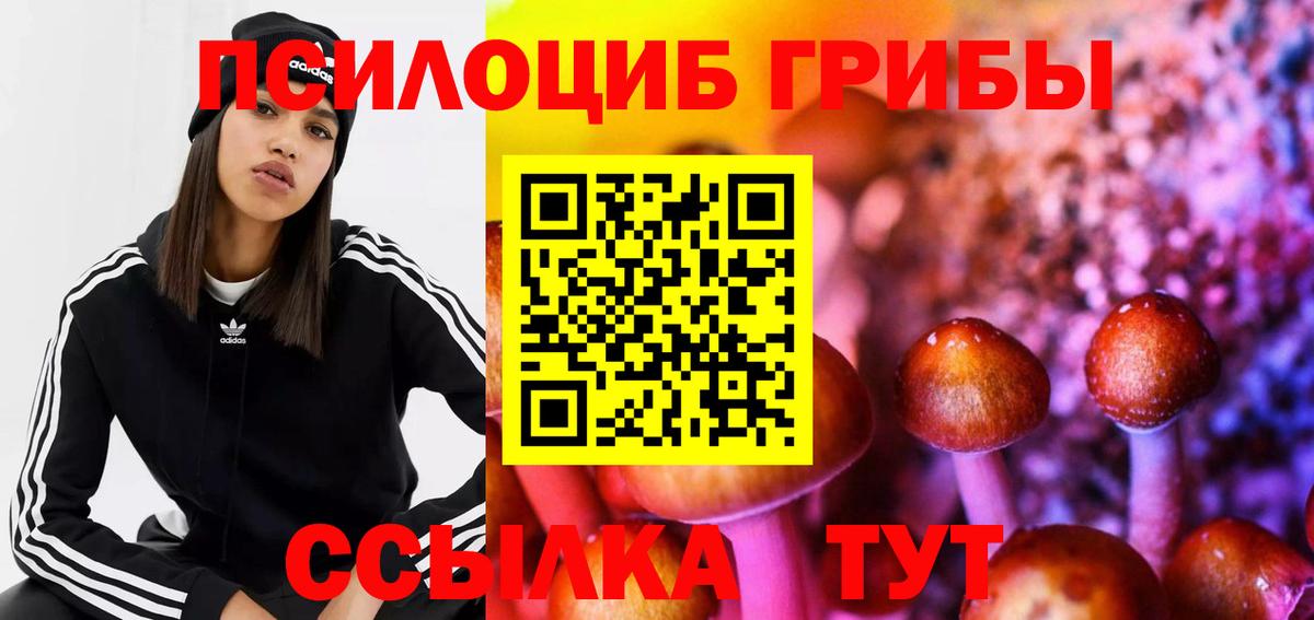 Псилоцибиновые грибы GOLDEN TEACHER Десногорск