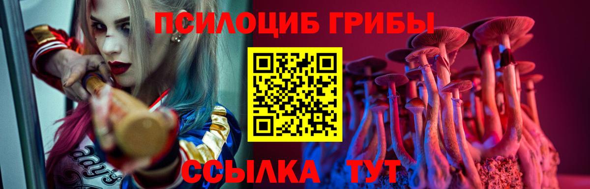 Псилоцибиновые грибы Psilocybe  Десногорск 